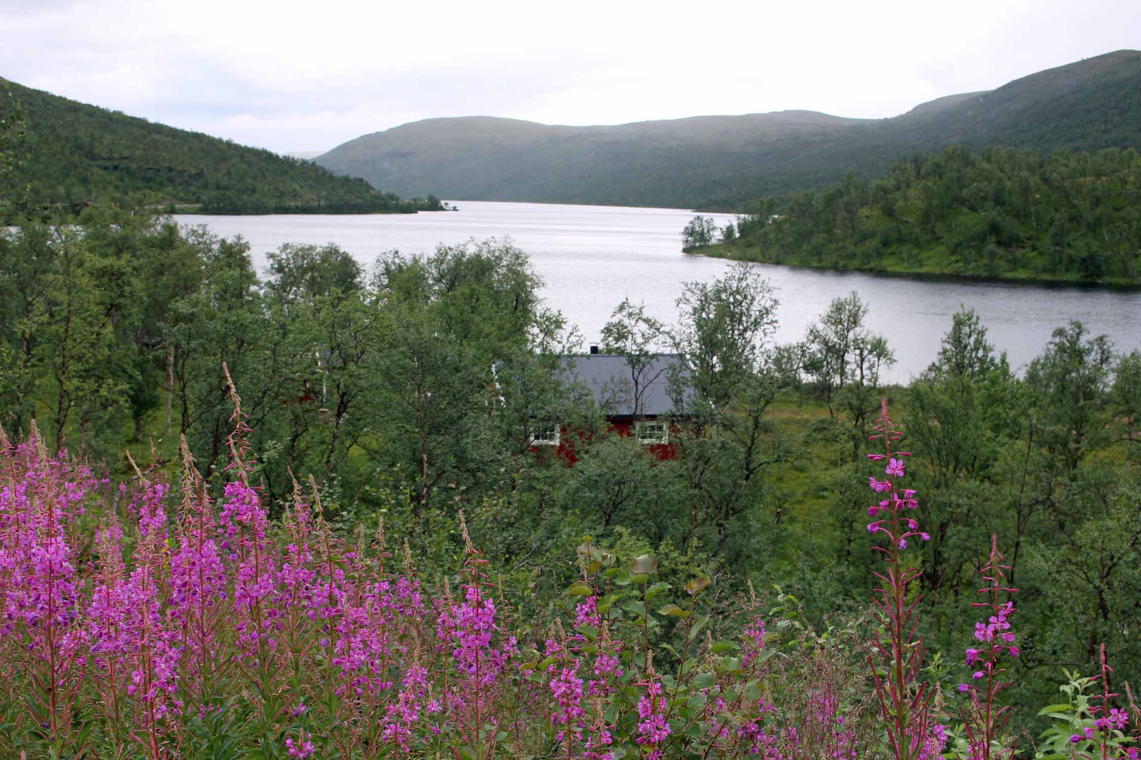 Laponie, lac Trangdalsvatn