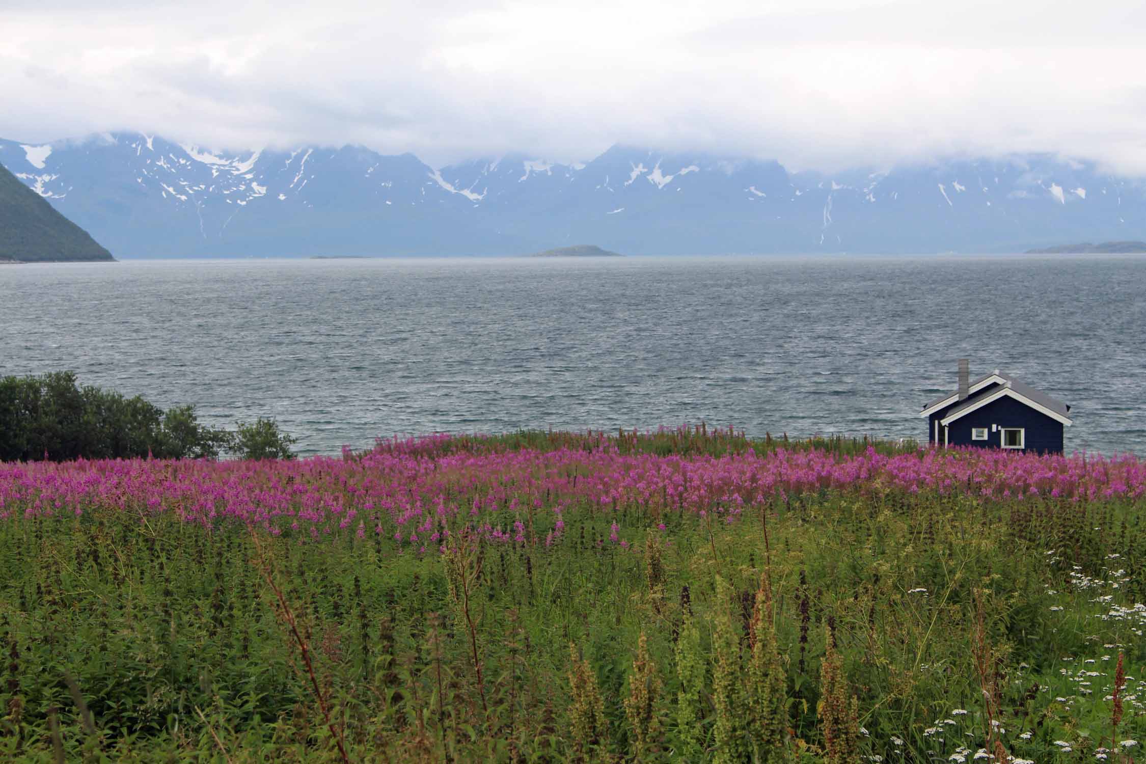 Laponie, Lyngenfjord, paysage