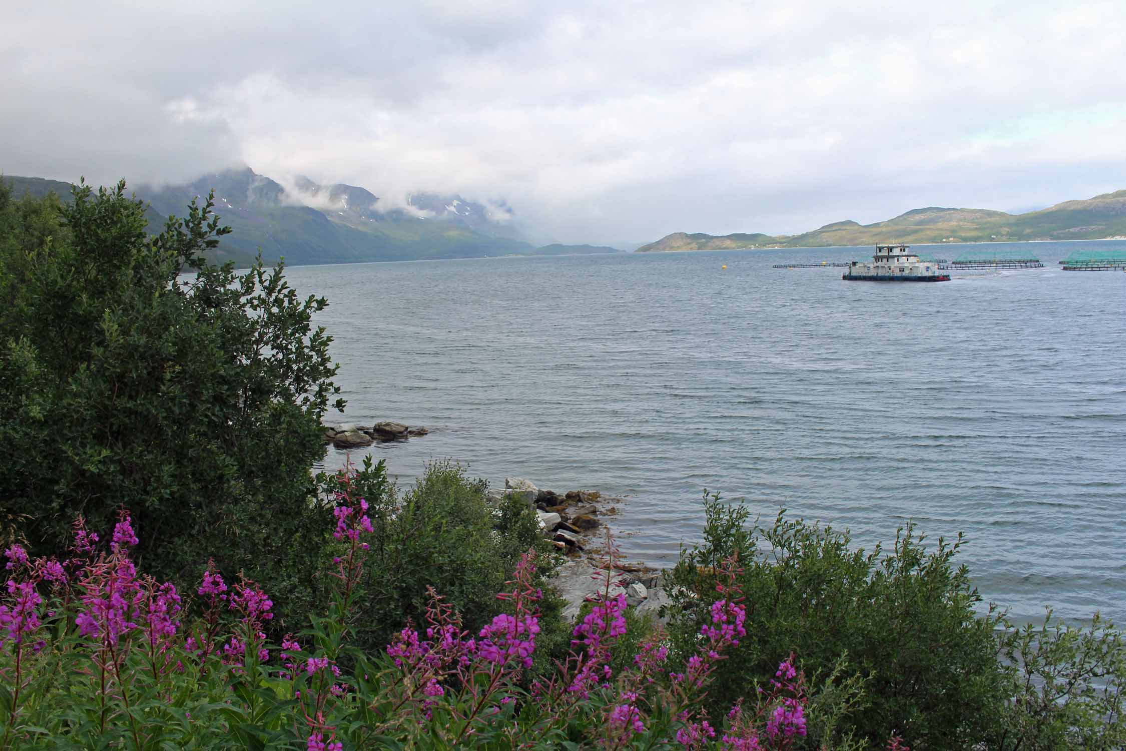 Laponie, fjord de Kvanangen, paysage