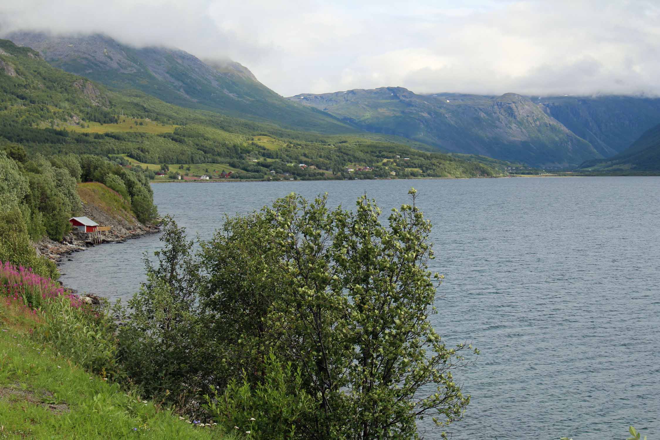 Laponie, Birtavarre, Kafjorden, paysage