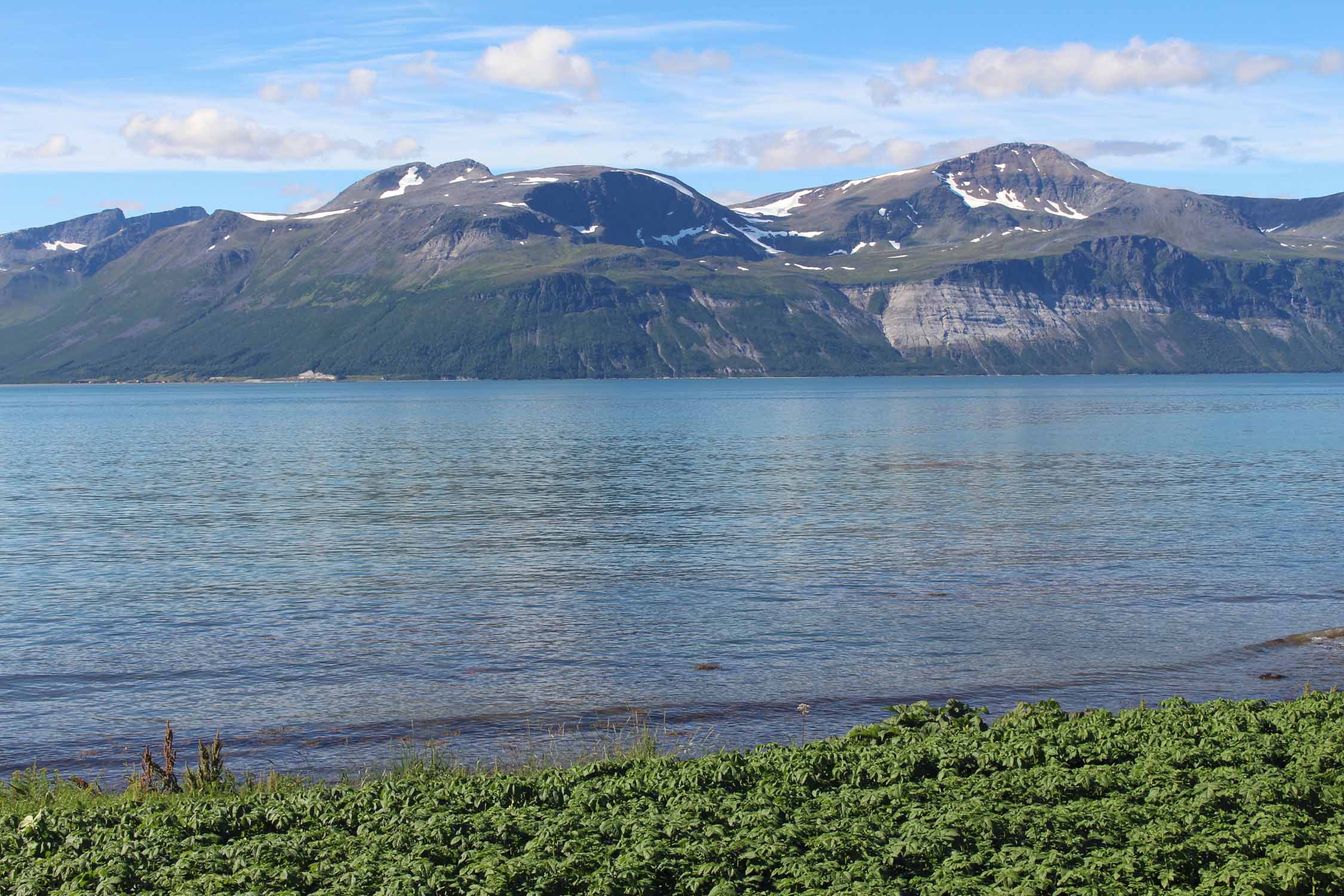 Laponie, Finnheim, Fjellet, paysage