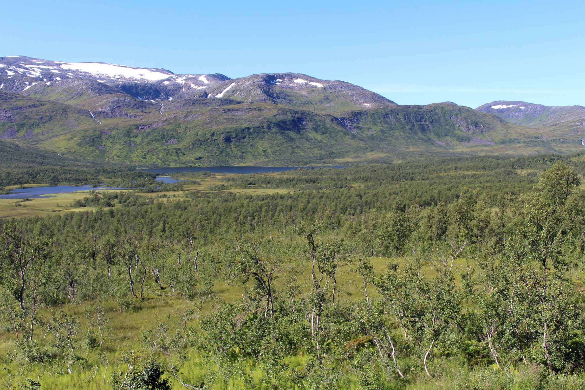 Norvège, île de Senja, paysage, toundra