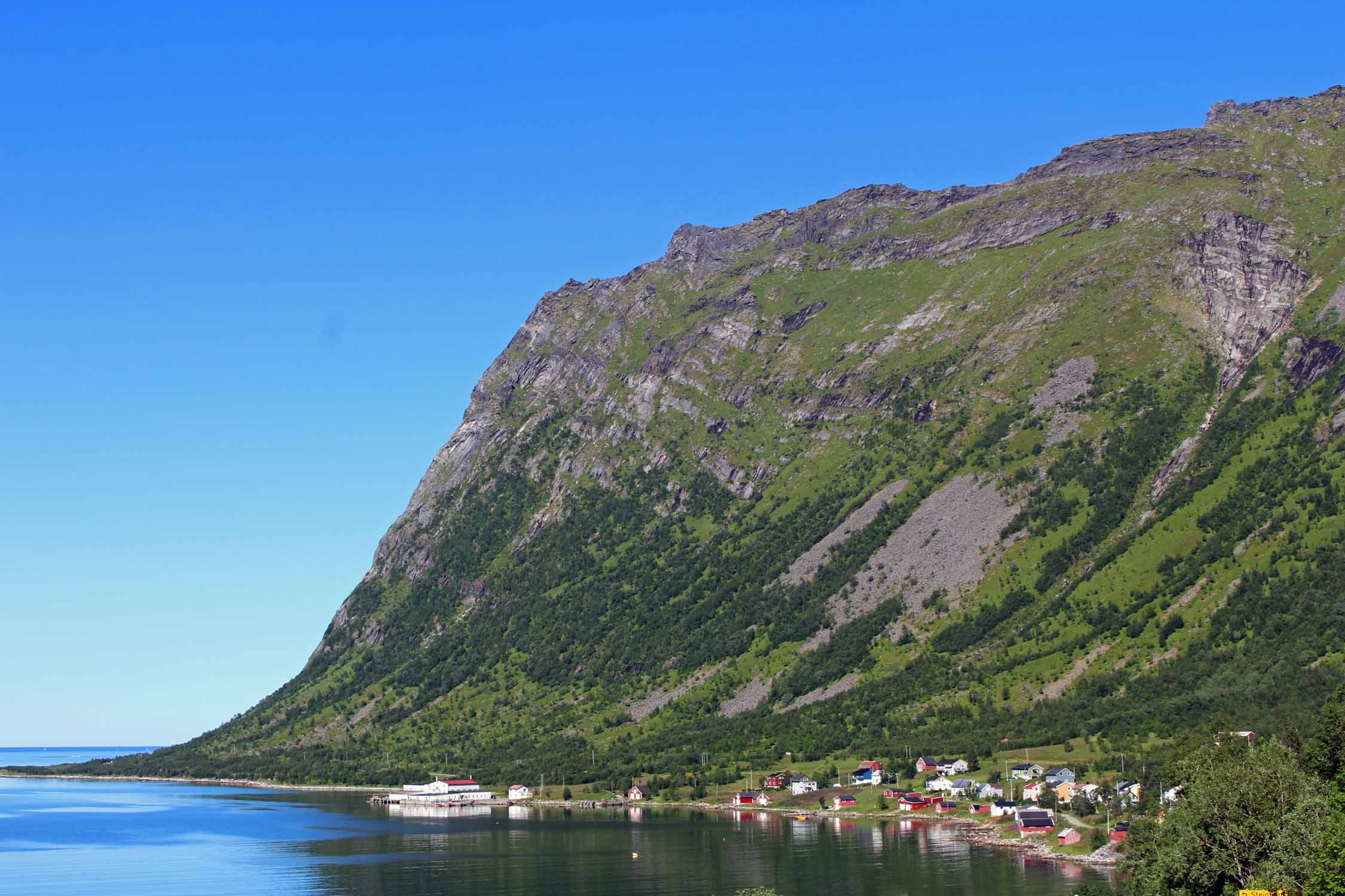 Norvège, île de Senja, Steinfjord, paysage