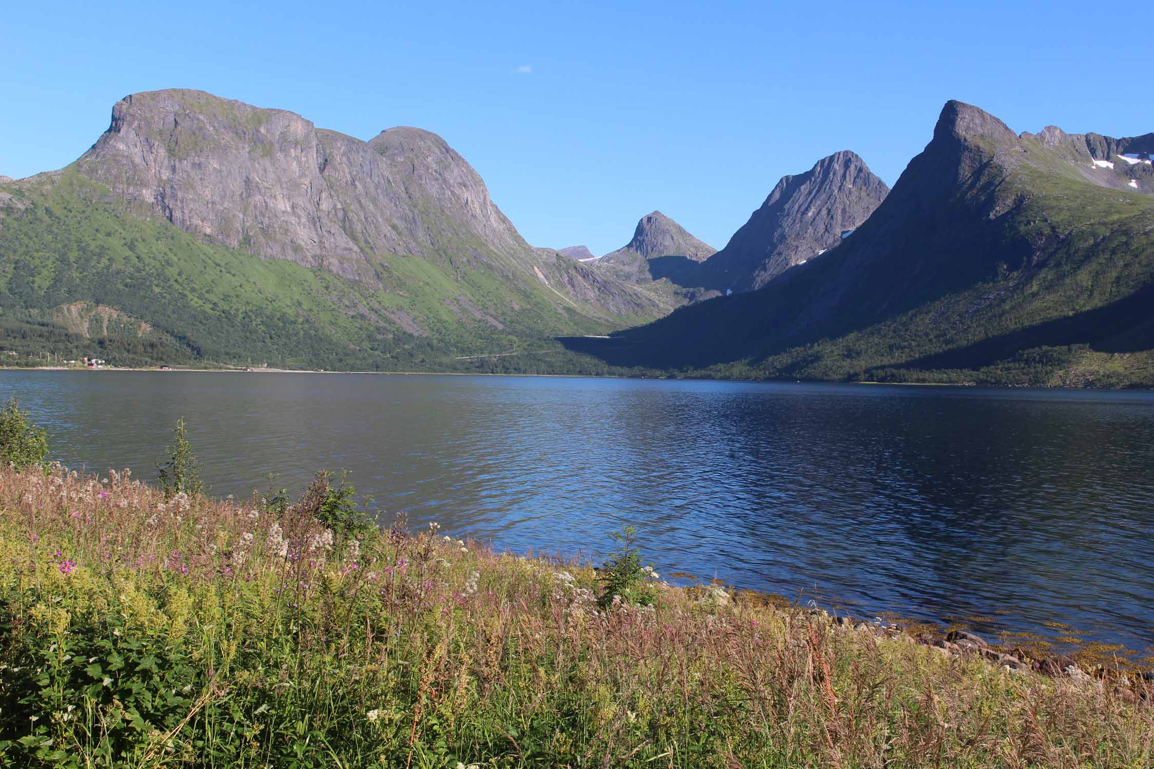 Norvège, île de Senja, Skaland, paysage