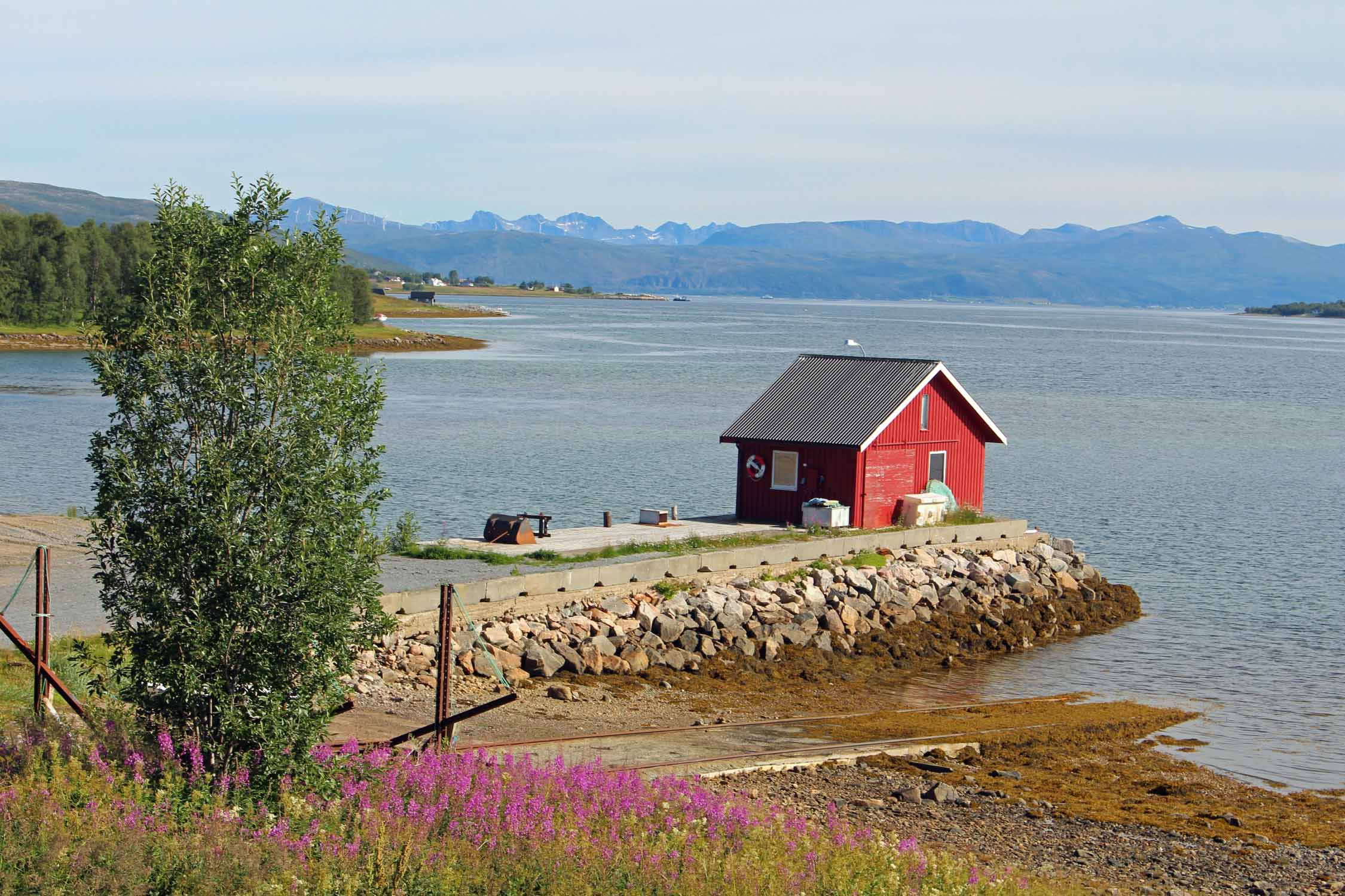 île de Senja, Grasmyr, paysage