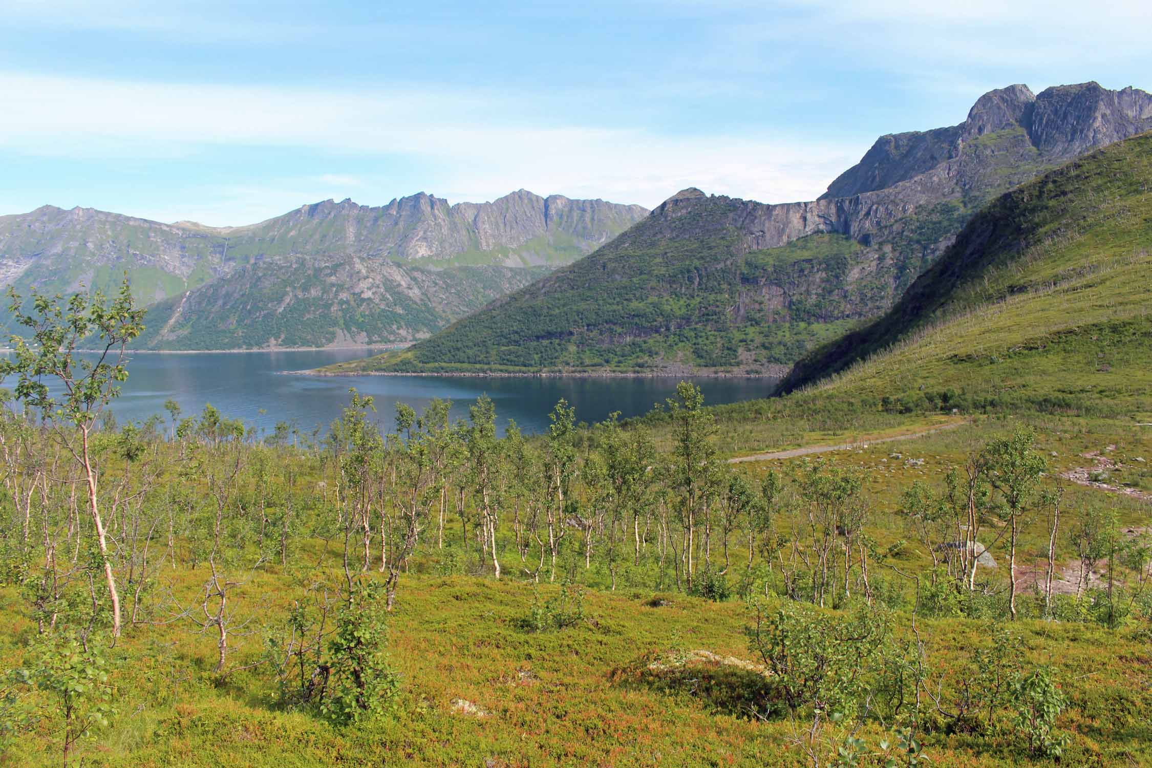 Norvège, île de Senja, Fjordgard, paysage