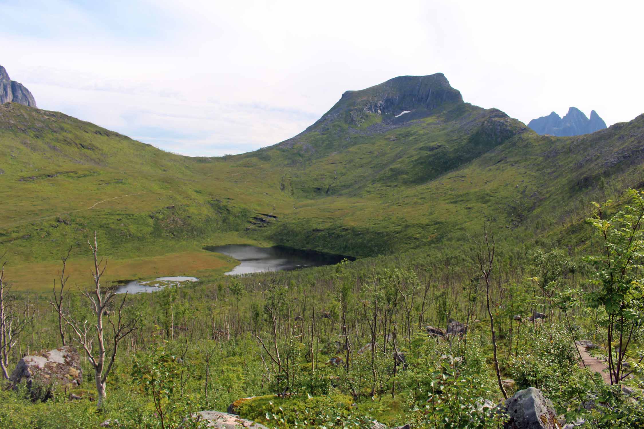 Norvège, île de Senja, Segla, paysage