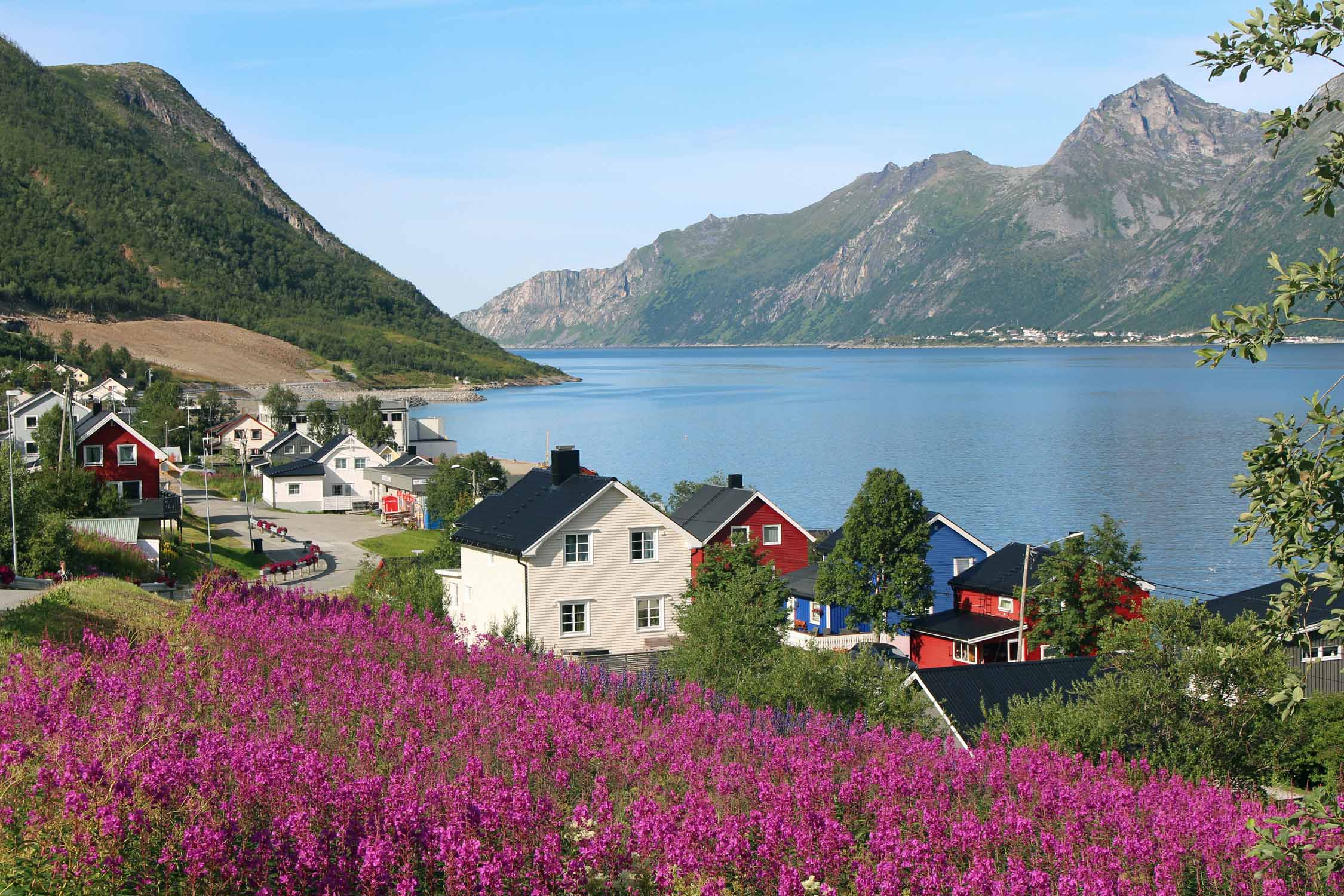 île de Senja, Fjordgard, maisons colorées