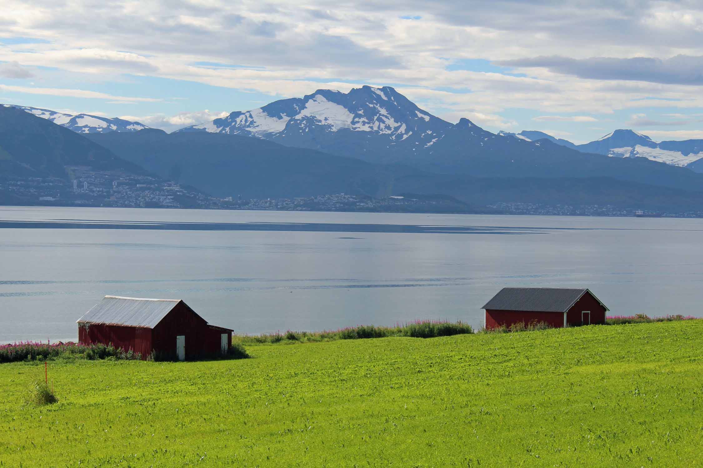 Norvège, Narvik, paysage
