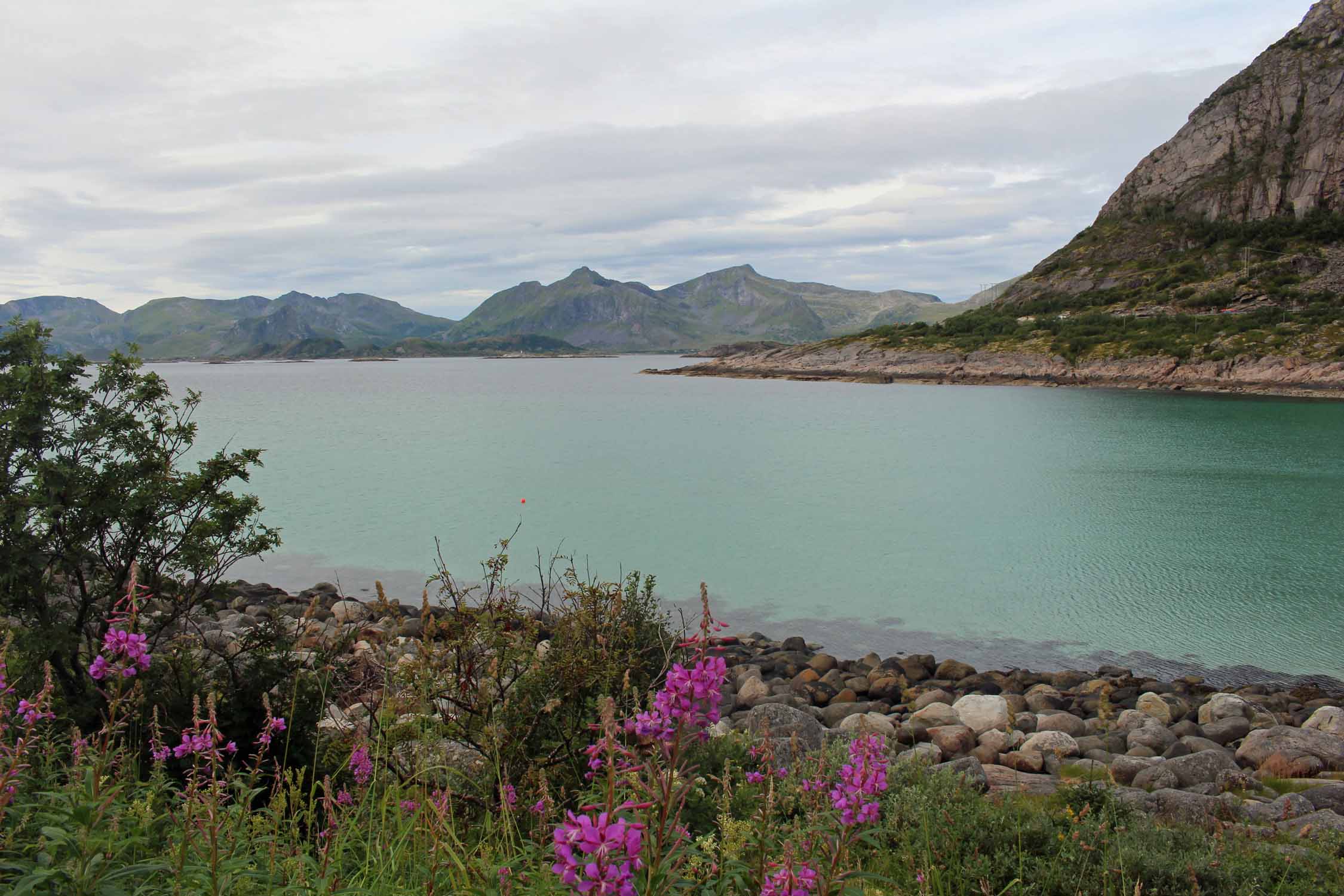 Norvège, Lofoten, Rorvik, paysage