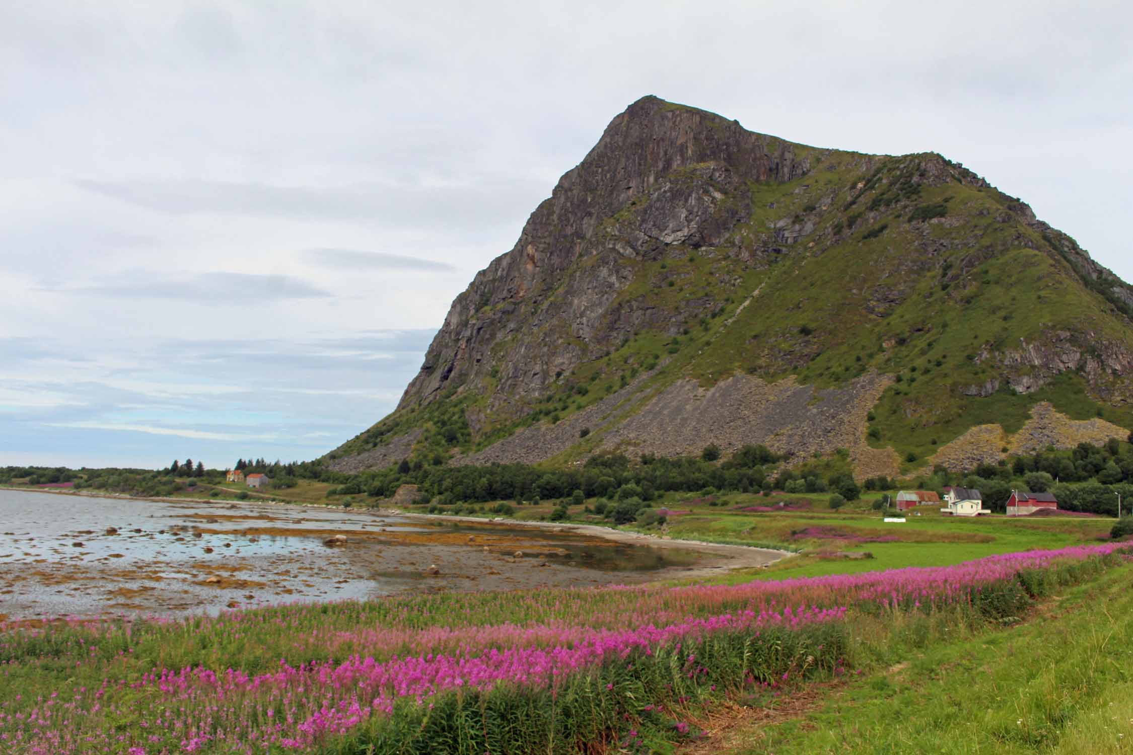 Norvège, Lofoten, Gimsoya