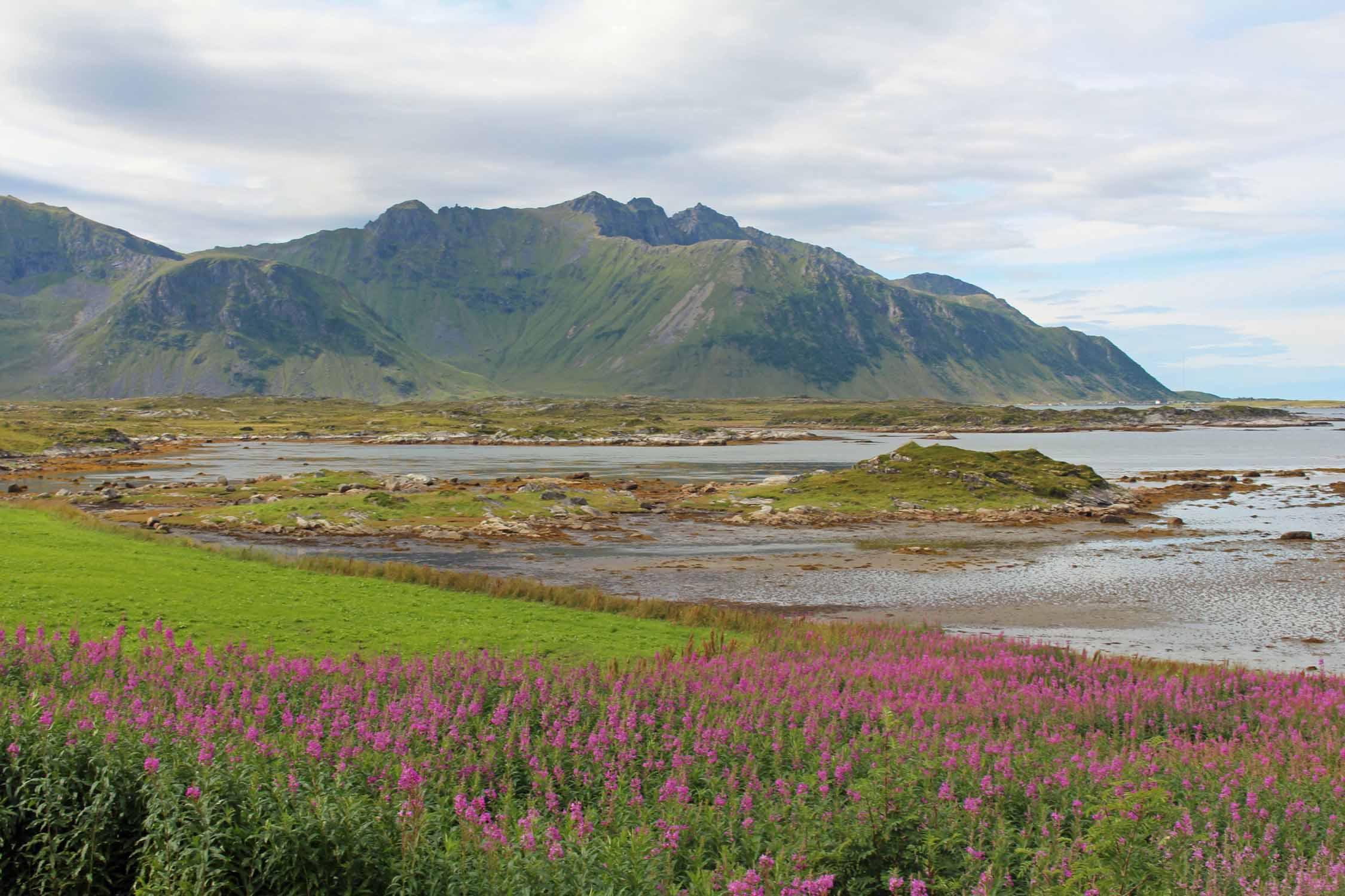 Norvège, Lofoten, Gimsoya, paysage