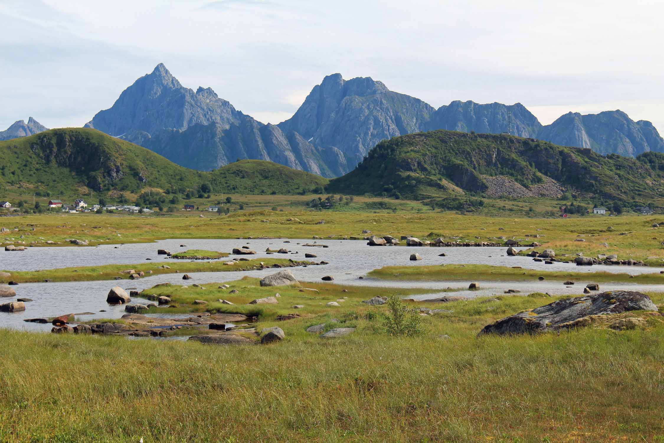 Norvège, Lofoten, Gimsoya, toundra