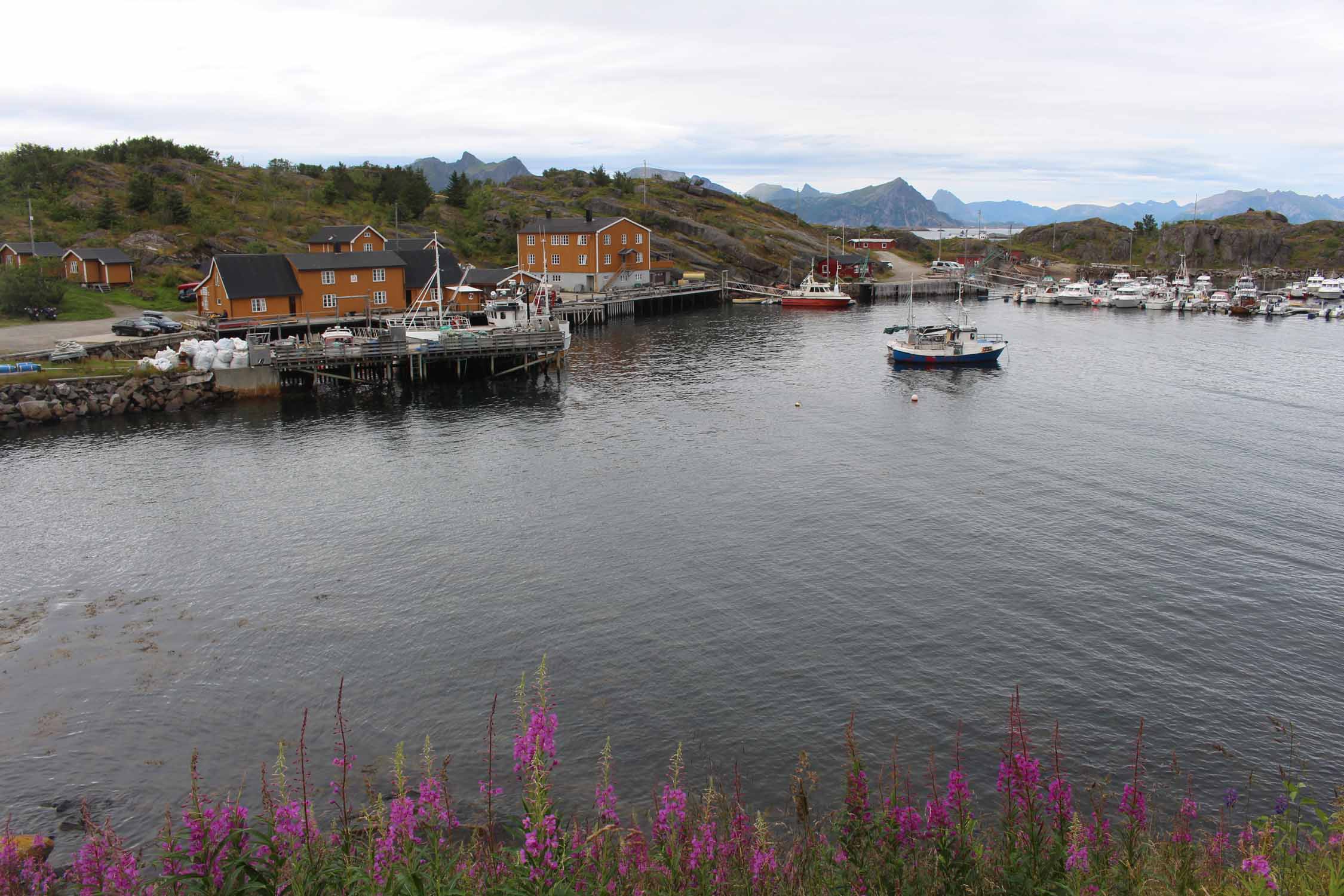 Norvège, Lofoten, Stamsund, port