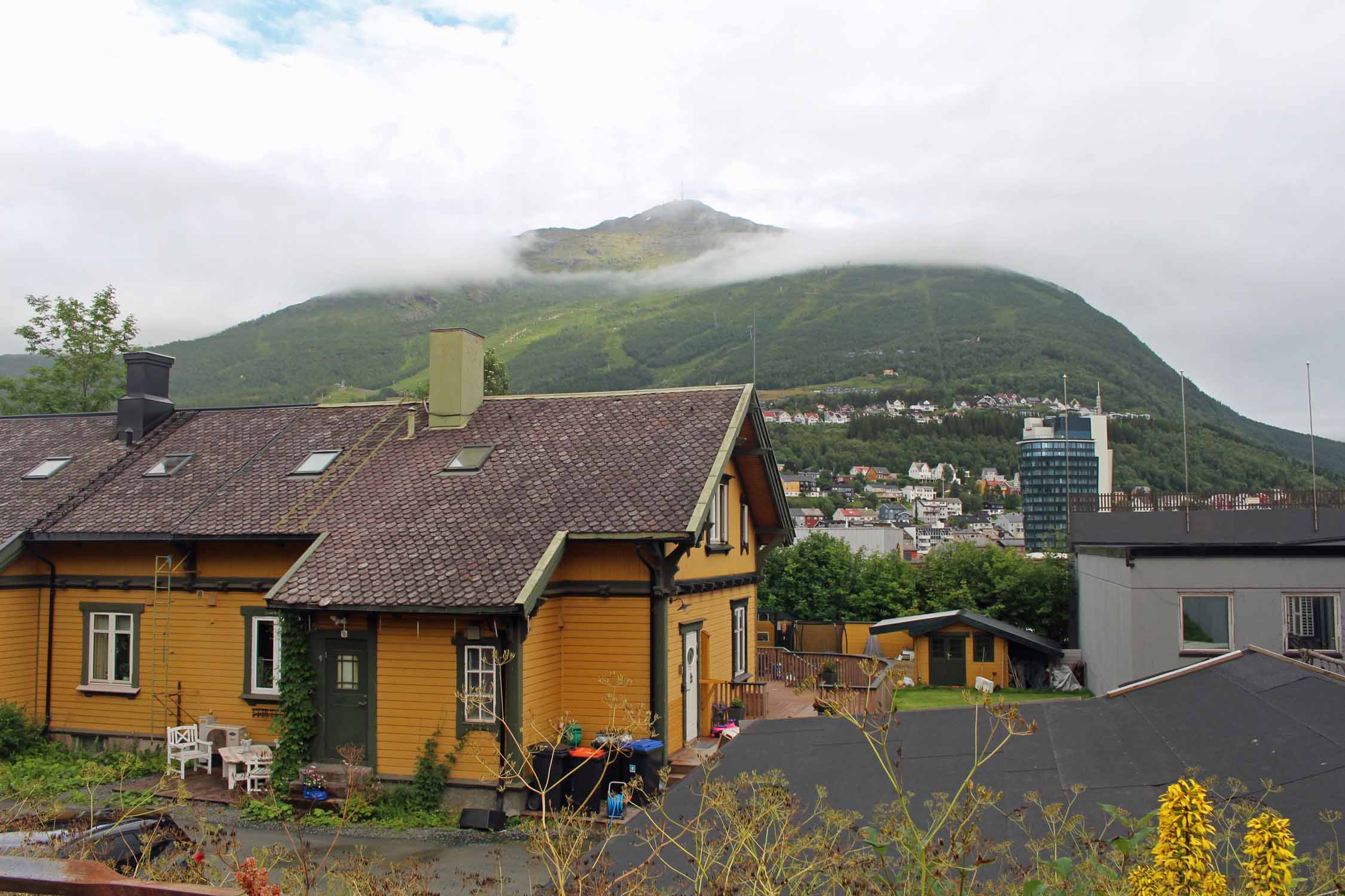 Narvik, paysage