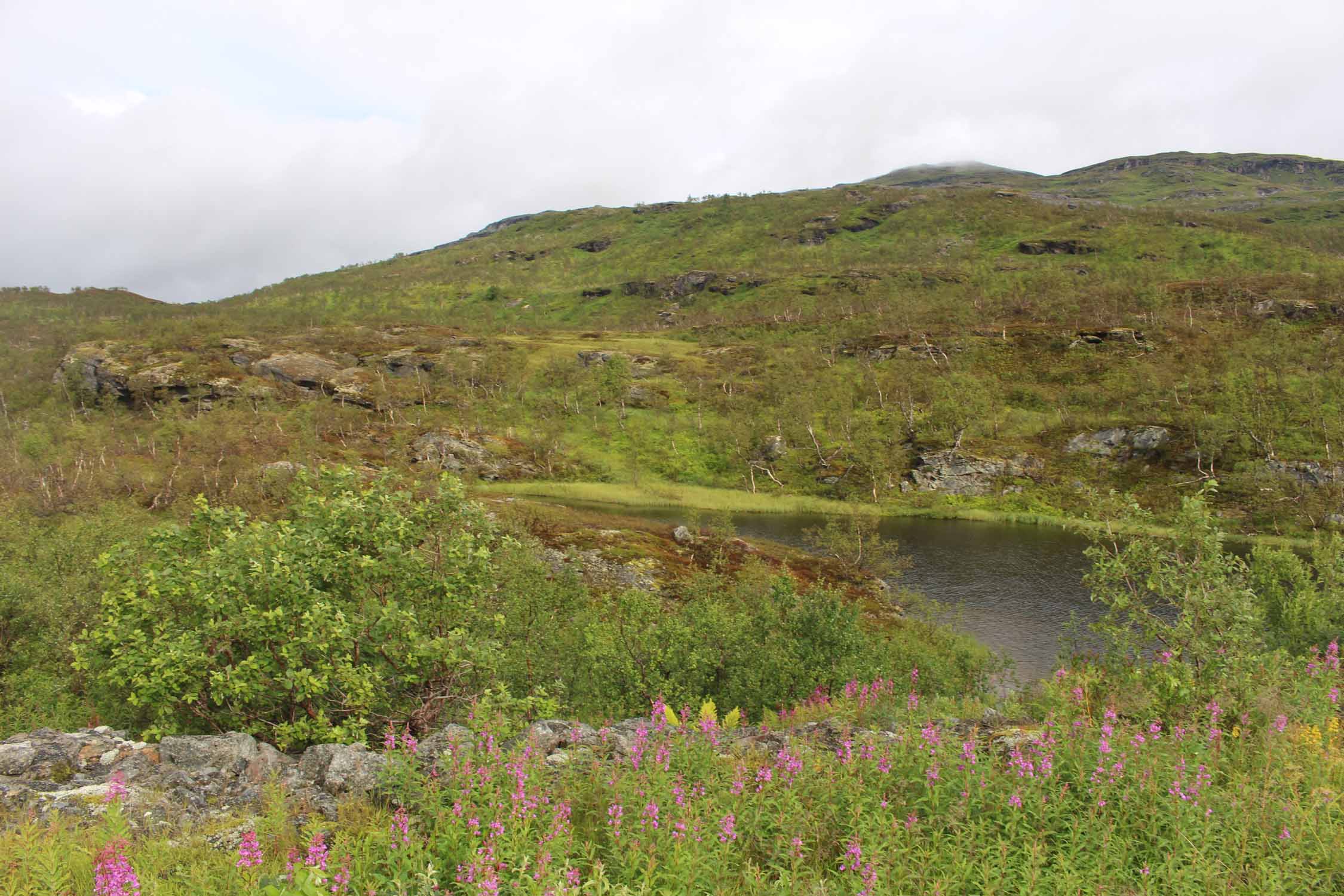 Norvège, Narvik, Rundfjellet, paysage