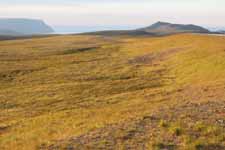 Norv&egrave;ge, &icirc;le de Mageroya, toundra