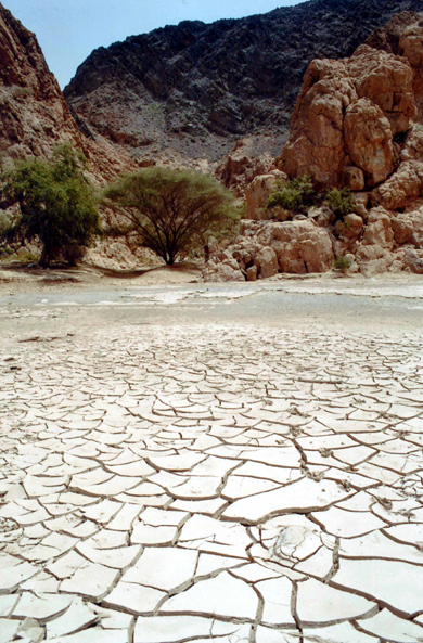 Wadi Daykha, vallée