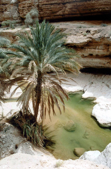 Wadi Shab, Oman