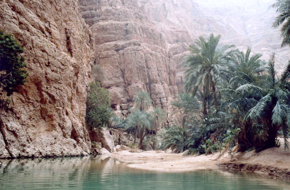 Wadi Shab, falaise