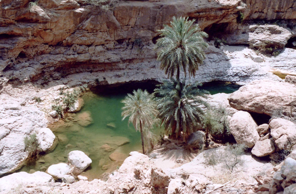 Wadi Tiwi, Sultanat d'Oman