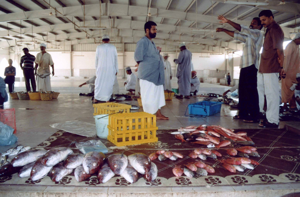 Sour, Oman, poissons