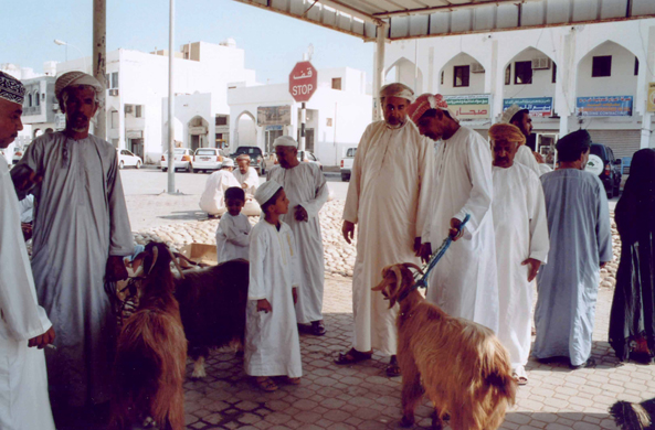 Sour, Oman, marché