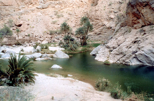 Wadi Bani Khaled, vallée