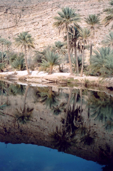 Des bassins d'eau claire dans le Wadi Bani Khaled