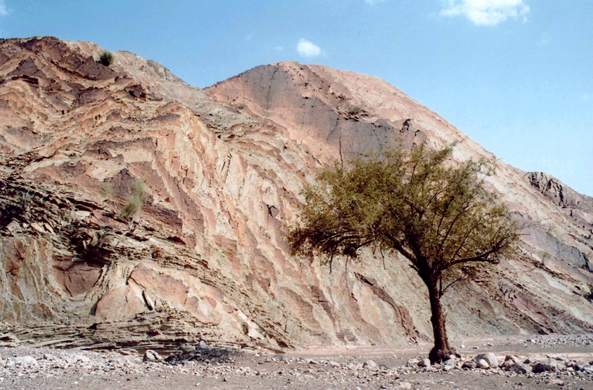 Wadi Bani Khaled, vue