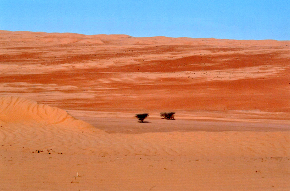 Désert de Wahiba, couleurs