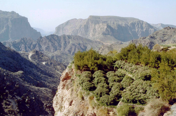 Plateau de Saiq, Oman