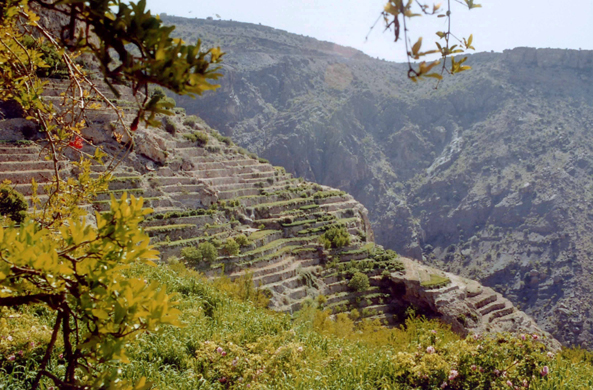 Plateau de Saiq, paysage