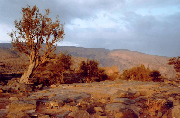 Massif de Jabal Chams