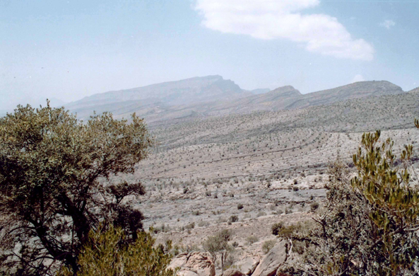 Djebel Akhdar, Oman