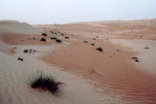 D&eacute;sert Wahiba
