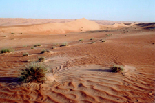 Wahiba d&eacute;sert, Oman