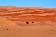 D&eacute;sert de Wahiba, couleurs