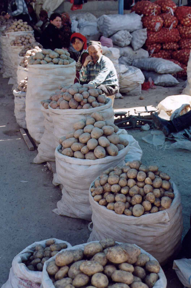 Tachkent, Pomme de terre