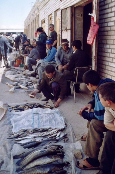Khiva, poisson, marché