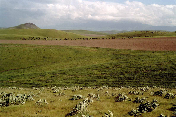 Jizzakh, paysage