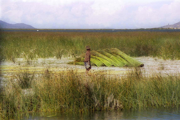 Lac Titicaca, paysage