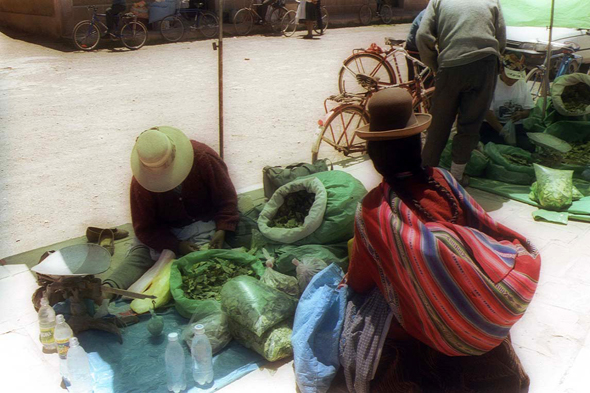 Pucara, feuilles de coca