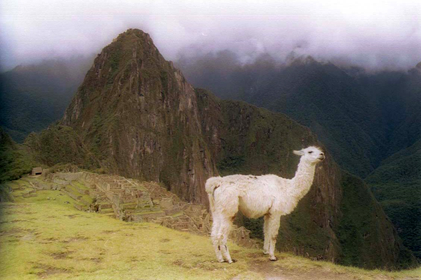 Pérou, Machu Picchu, paysage