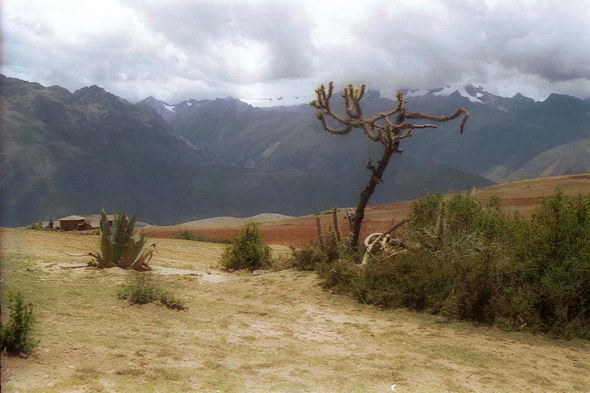 Cordillère de Vilcanota