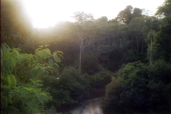 Amazonie, Pérou