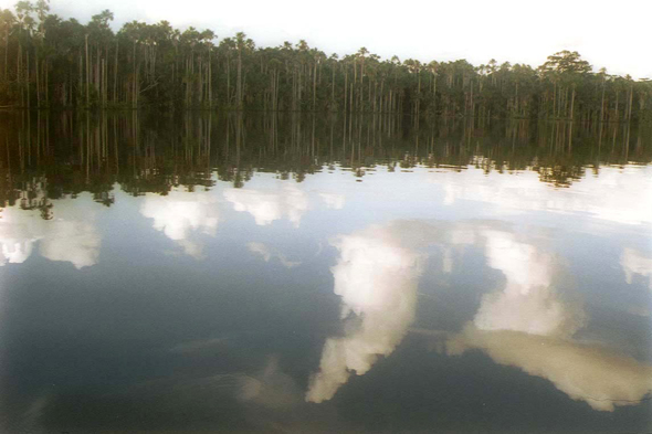 Lac Sandoval, Pérou