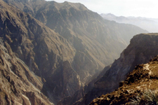 Ca&ntilde;on de Colca, P&eacute;rou