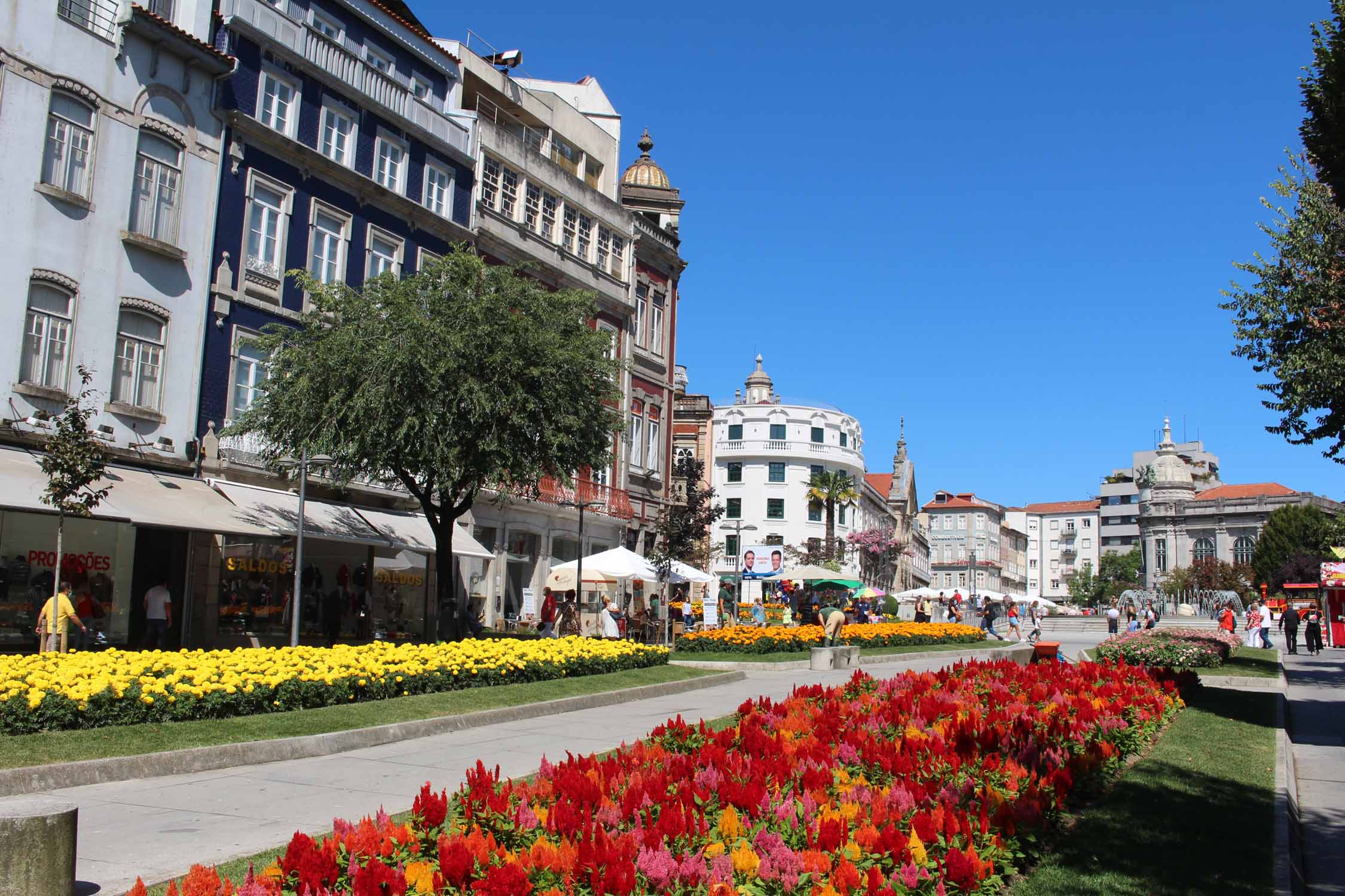Braga, avenue de Liberdade, fleurs