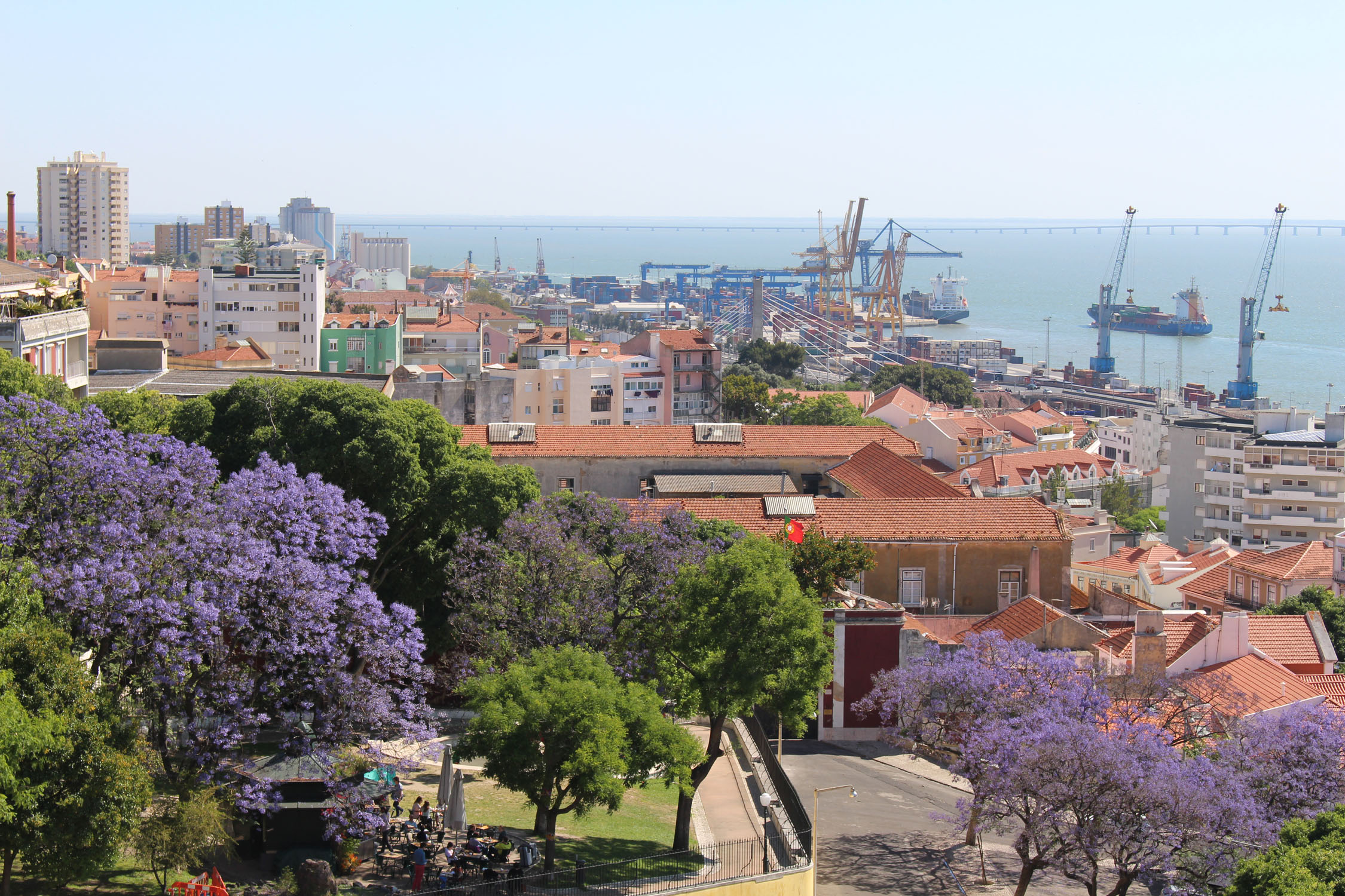 Port de Lisbonne, jacaranda